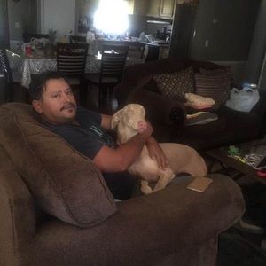 Meet your Posher, Damian